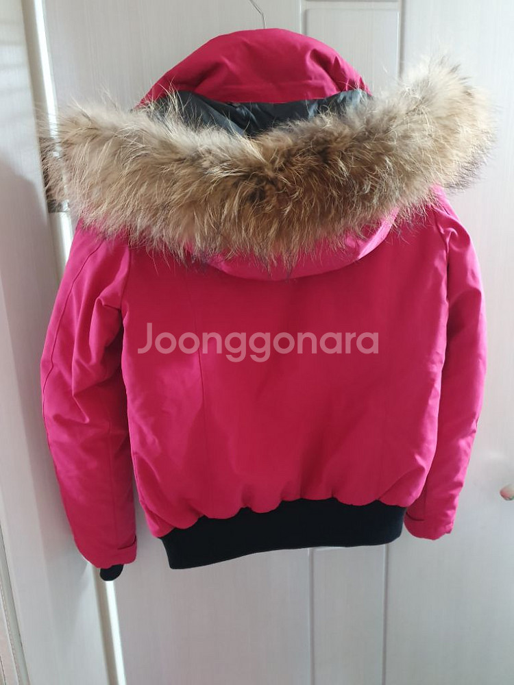 디스커버리 라쿤털 구스다운 숏패딩 90 핑크 거위털--5