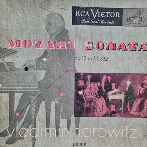 희귀 도넛반)블라디미르 호로비츠