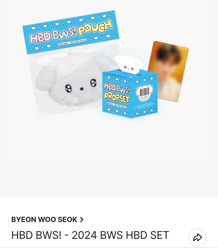 변우석 생일 HBD BWS 프롭 파우치 포카 (수정)--4