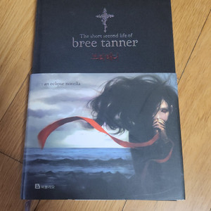 브리태너 bree tanner 소설