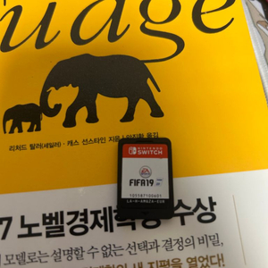 닌텐도 피파 19