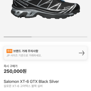 살로몬 xt-6 고어텍스 블랙실버 275