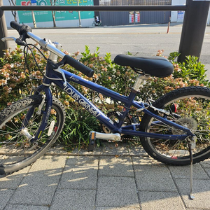 알루미늄 루이가르노 20인치7단기아