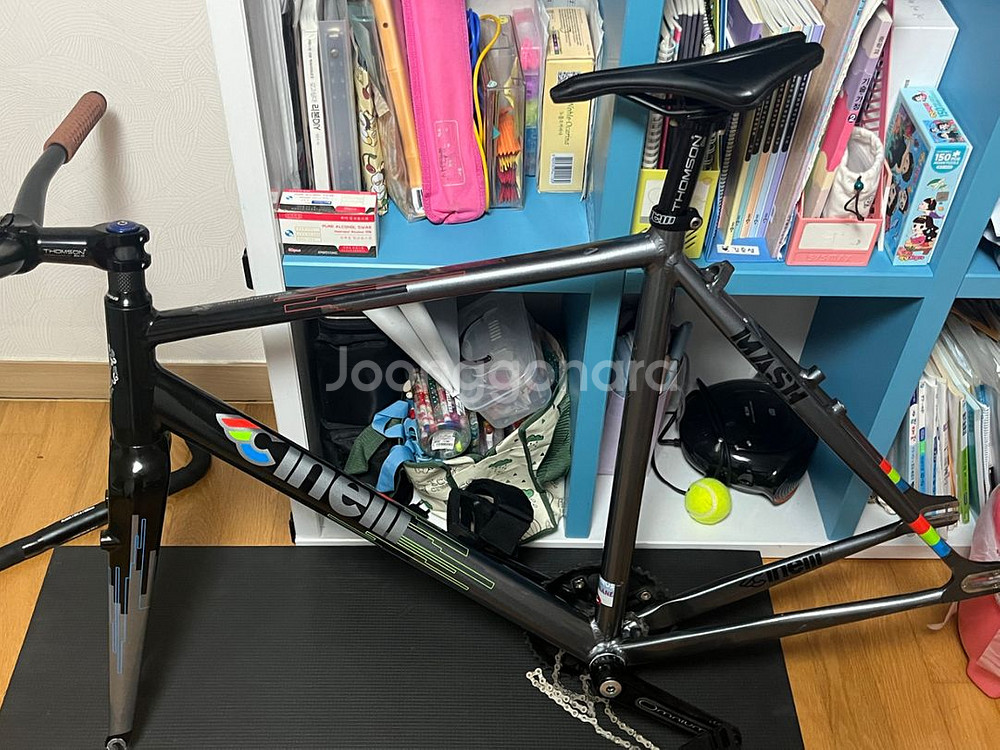 치넬리(매쉬) sscx--6