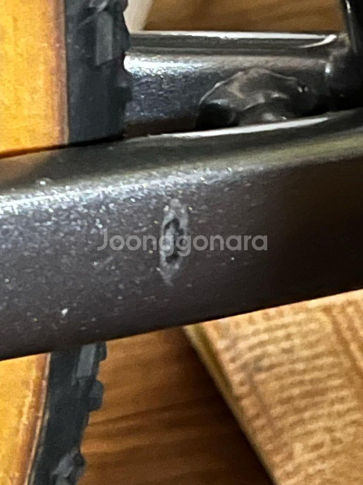 치넬리(매쉬) sscx--8