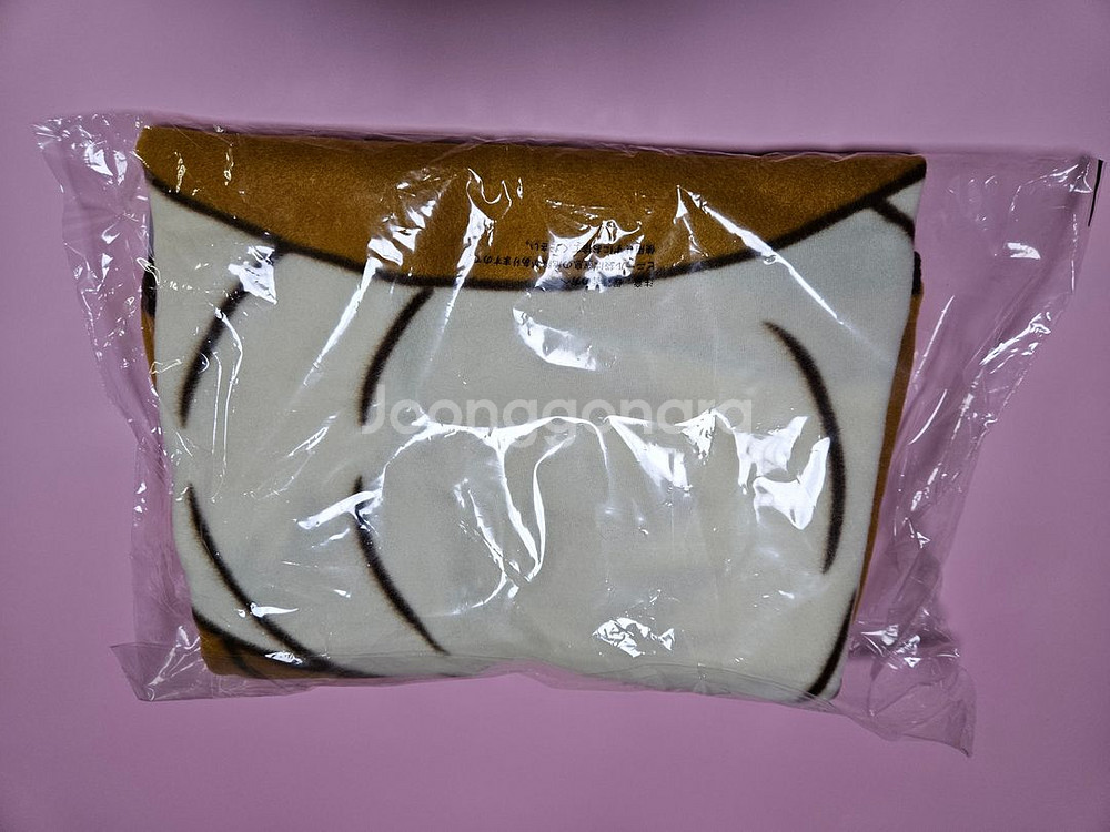 포켓몬스터 이브이 빅 블랭킷(담요)--2