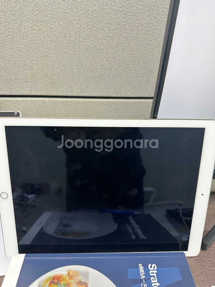 아이패드프로 256기가 셀룰러--5