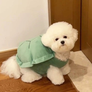 강아지 고양이 거북이옷