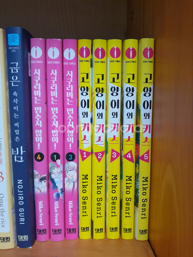 [순정만화책] 고양이와 키스, 사쿠라바는 멈추지 않아--0