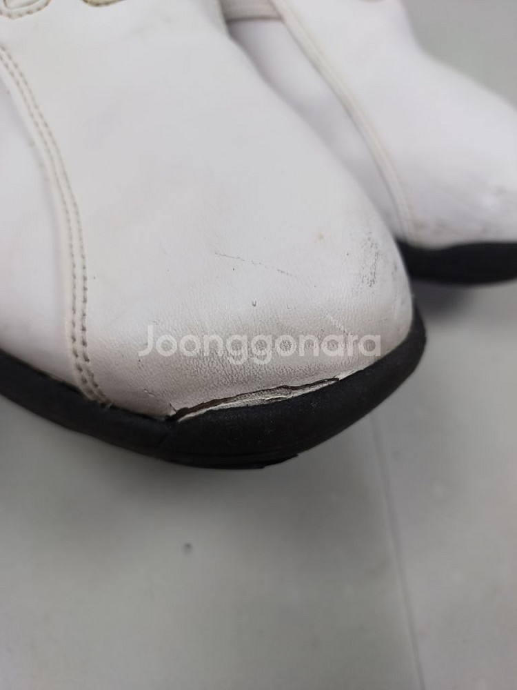 풋조이 골프화 흰색 280--3