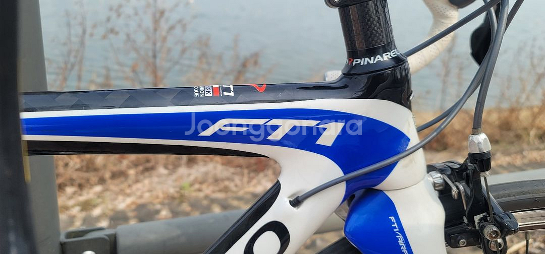 피나렐로 급처--3