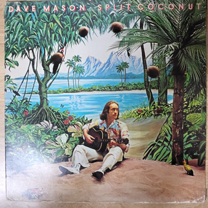 DAVE MASON 음반 s (LP 턴테이블 오디오