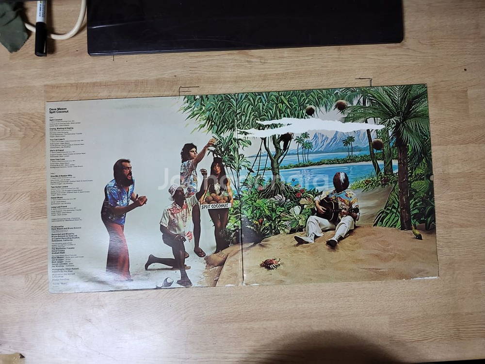 DAVE MASON 음반 s (LP 턴테이블 오디오--2