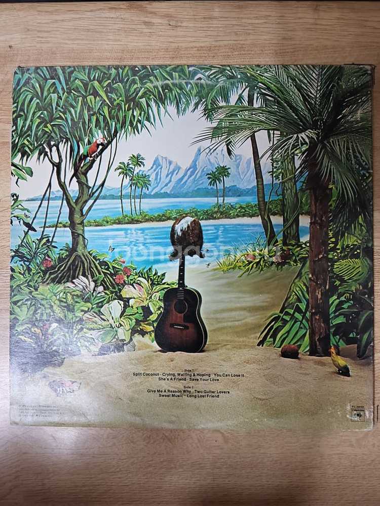 DAVE MASON 음반 s (LP 턴테이블 오디오--1