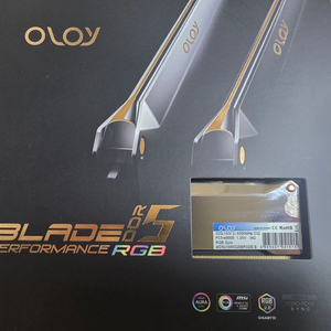 oloy ddr5 6000 cl32 16x2 32gb팜