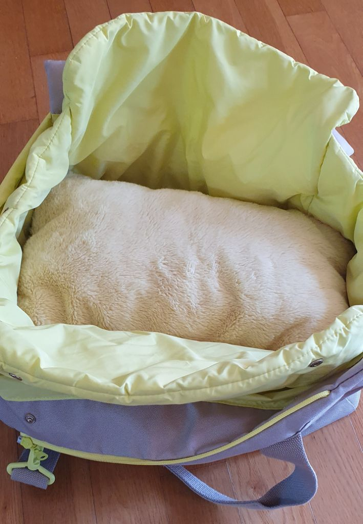 아르르 가벼운 강아지 이동가방 이미지