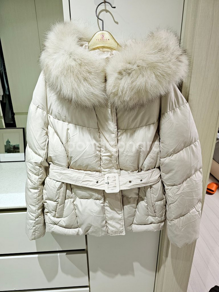 (마지막 가격다운)숲 다운 숏 패딩 55--3