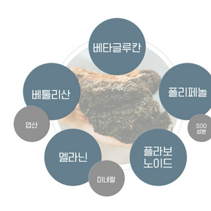 러시아산 자작나무 기생버섯 차가버섯분말 120g