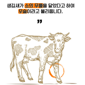 국내산 소무릎뿌리 우슬분말 300g 사포닌 베타인