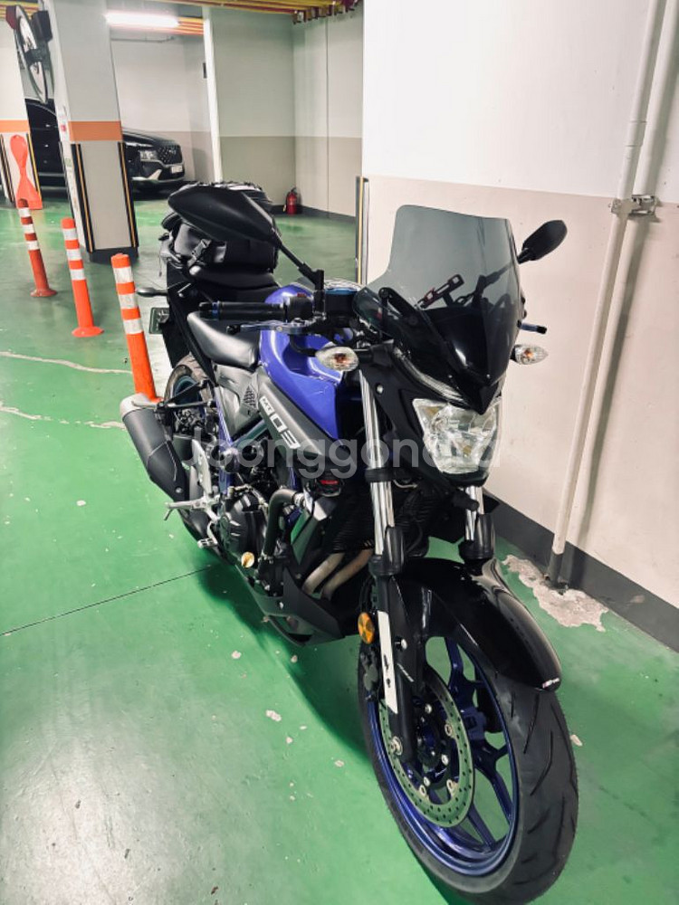 MT 03--1
