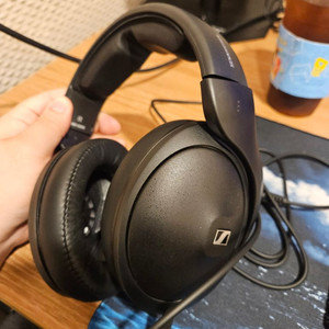젠하이저 hd620s