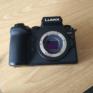 파나소닉 루믹스 lumix g9ii