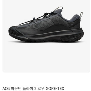 나이키 ACG 마운틴 플라이2 로우 운동화