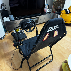 트러스트마스터 T300RS + 플레이시트 gtlite