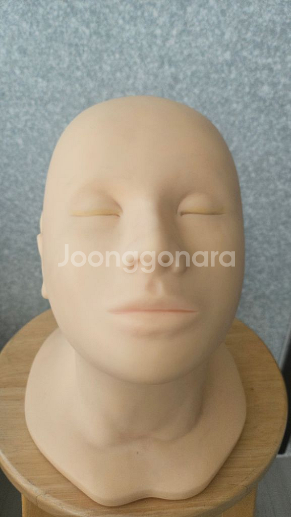 메이크업 연습용 양면 마네킹--2