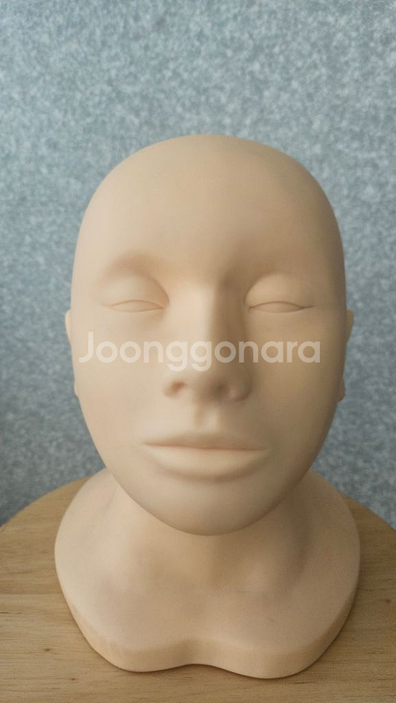 메이크업 연습용 양면 마네킹--1