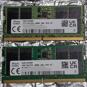 하이닉스 DDR5 노트북 5600B, 16GB(2개)