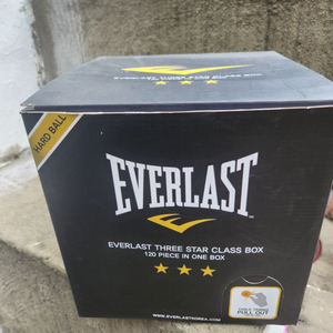 EVERLAST 3성 탁구공 120개 EVTB-3120