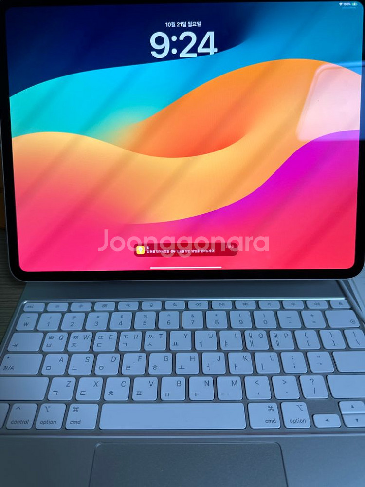 아이패드 프로 13 M4 256G WIFI 실버,키보드--1
