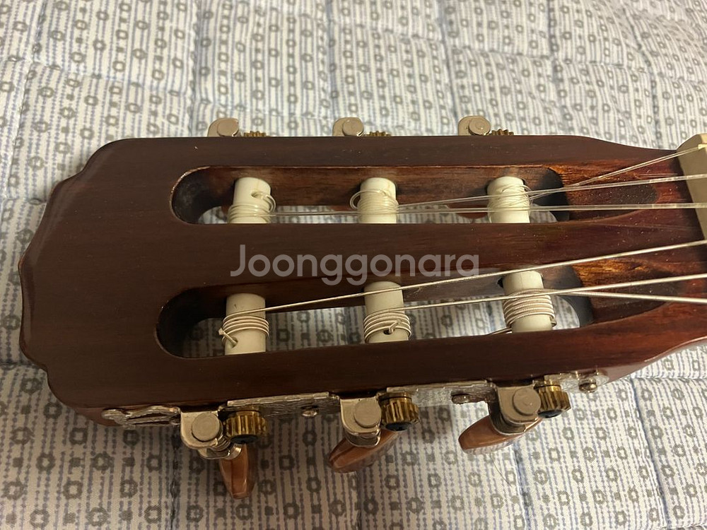 콜트 AC12 NAT 클래식 기타--4