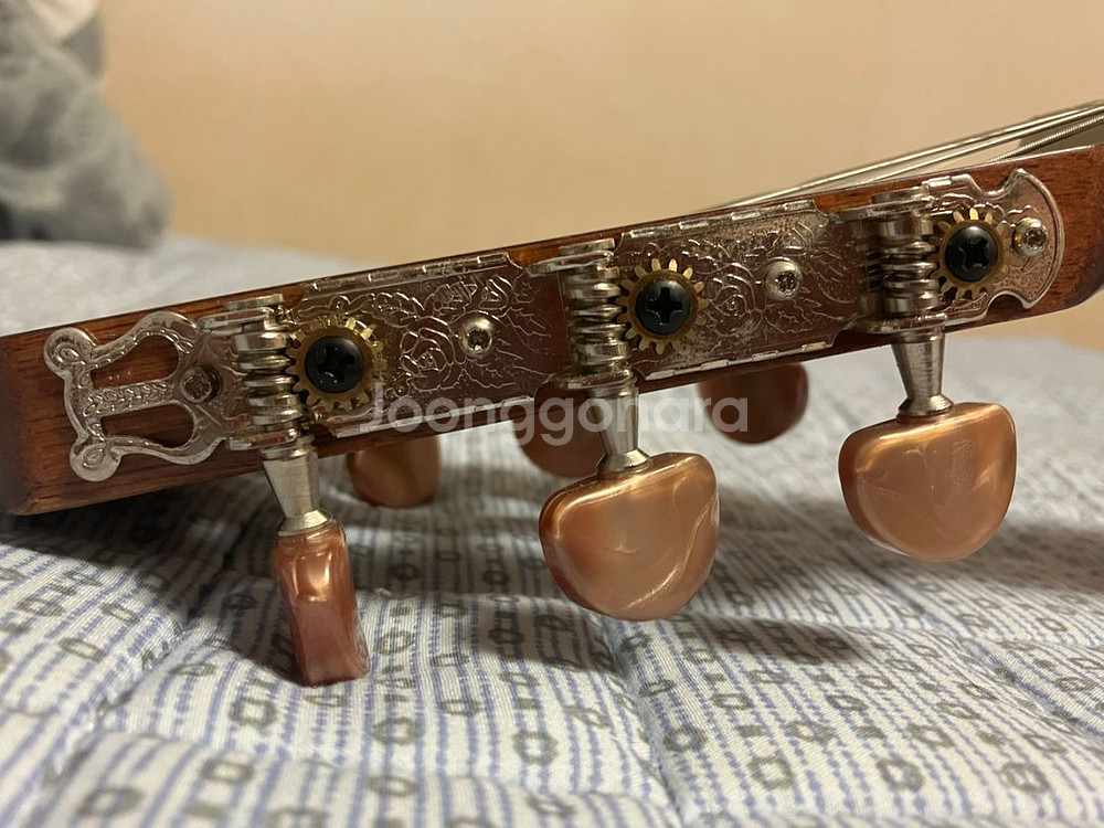 콜트 AC12 NAT 클래식 기타--3