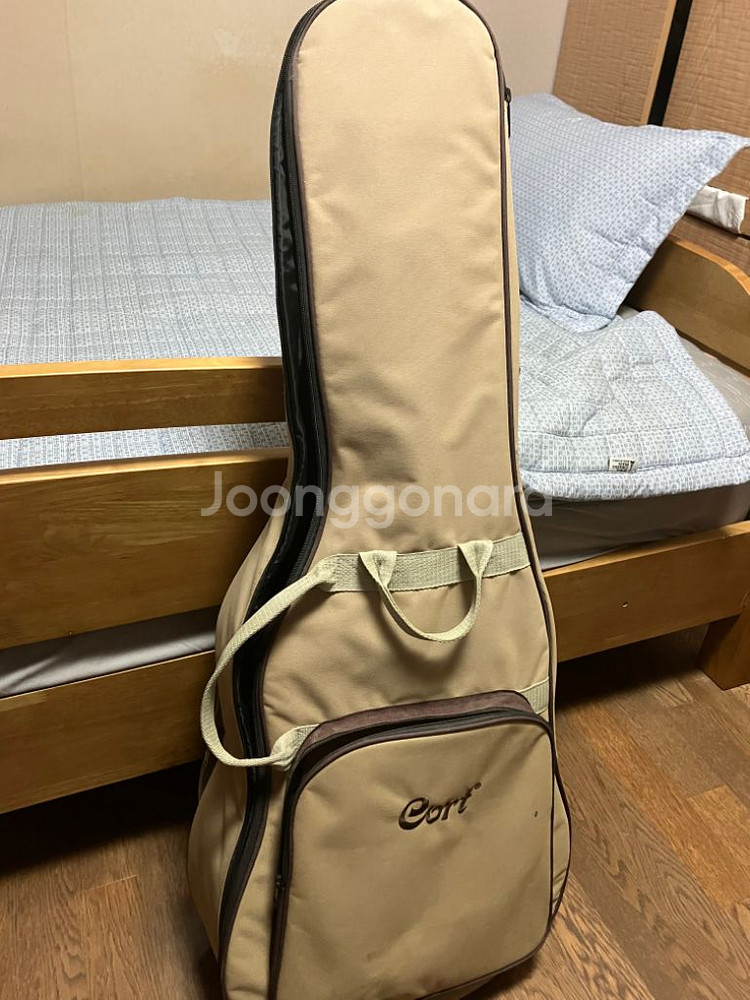 콜트 AC12 NAT 클래식 기타--6