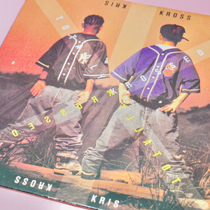 KRIS KROSS LP 엘피 음반 lp 수집 레트로