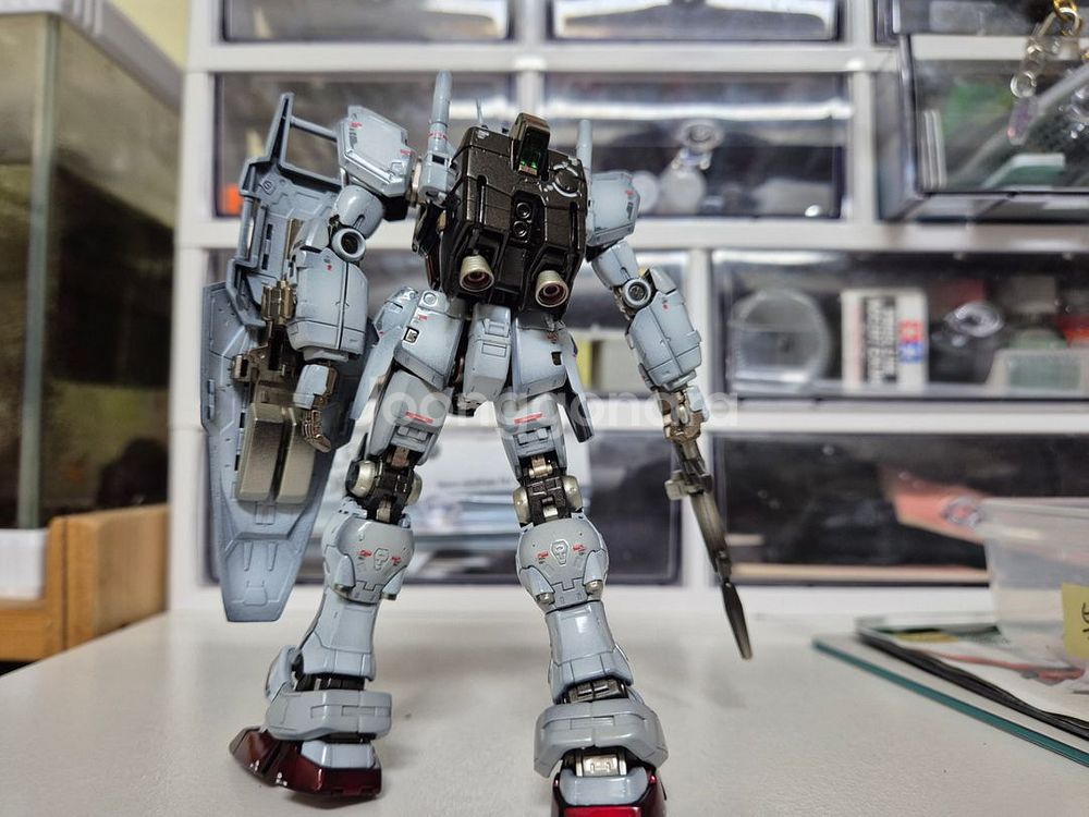 rg 제피랜더스 도색작--4
