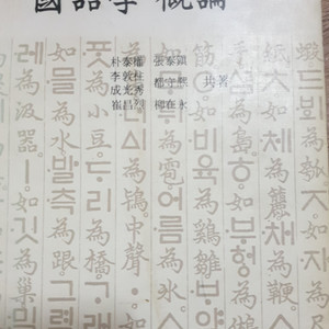 국어학개론