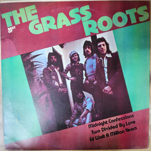 GRASS ROOTS 음반 b (LP 턴테이블 오디오