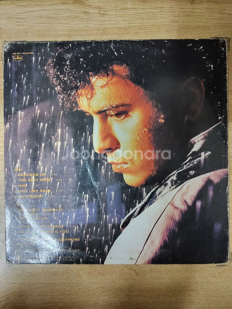 GLENN MEDEIROS 음반 (LP 턴테이블 오디오--1