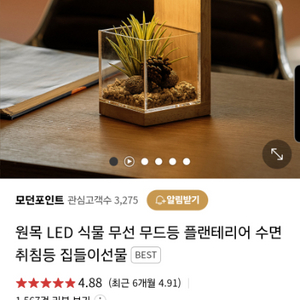 모던포인트 led무드등