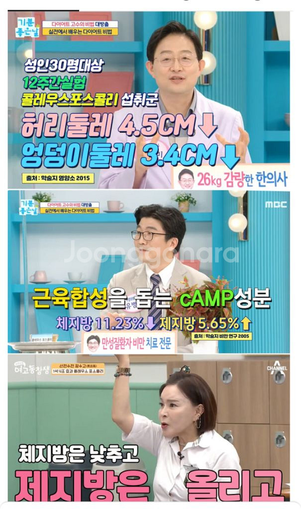 신봉선 빨간통 다이어트 체중감소 복부지방감소 체지방감소--2