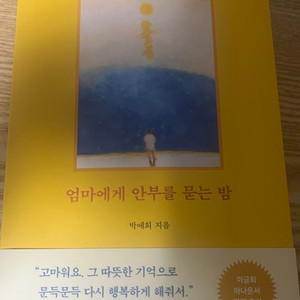 새책) 엄마에게 안부를 묻는 밤