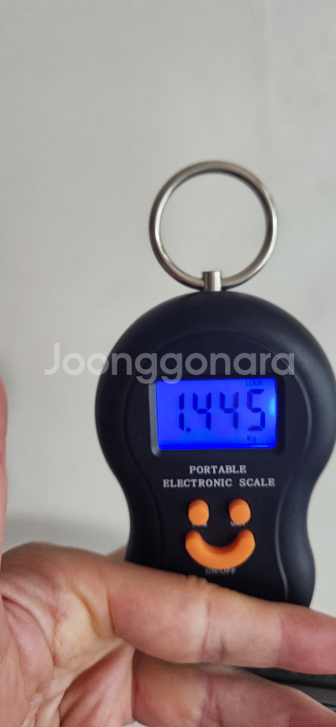 피나렐로 와일드캣 자전거 휠--2