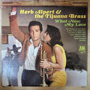 HERB ALPERT 음반 w (LP 턴테이블 오디오