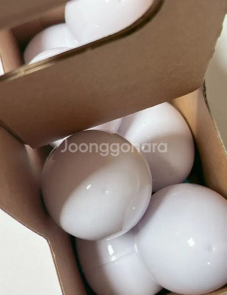 안녕자두야 오뚝이 윤석 성훈 민지--3