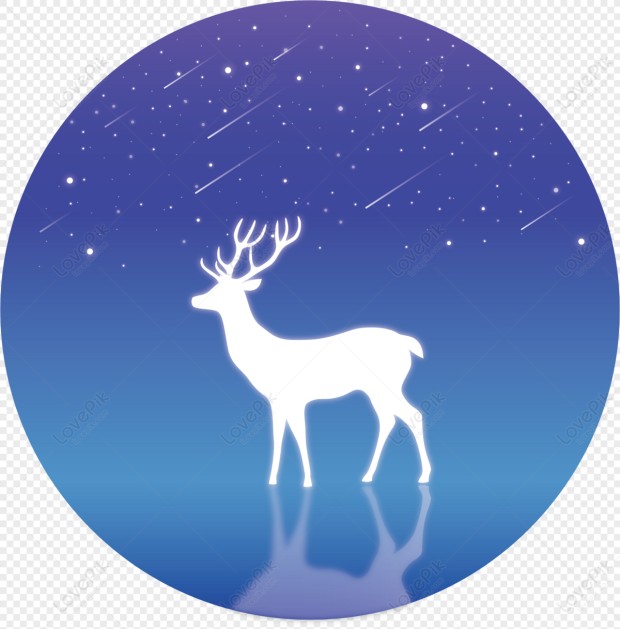 profile-image