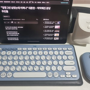 급매 갤럭시탭s9 256gb 와이파이 wifi 팝니다