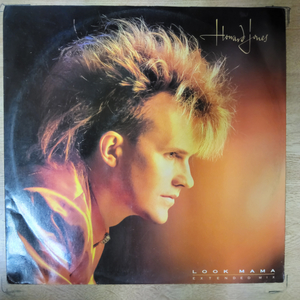 HOWARD JONES 음반 l (LP 턴테이블 오디오